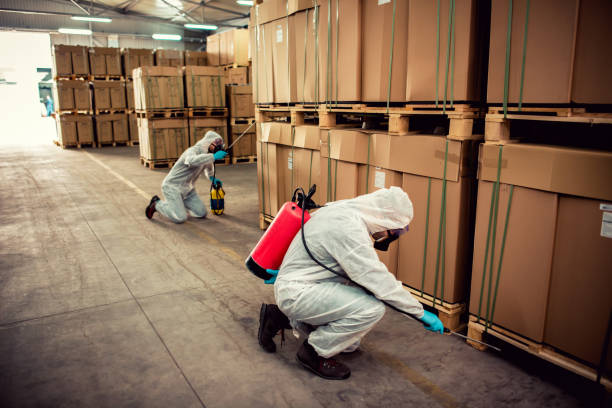 Best Bed Bug Extermination  in Bel Air South, MD