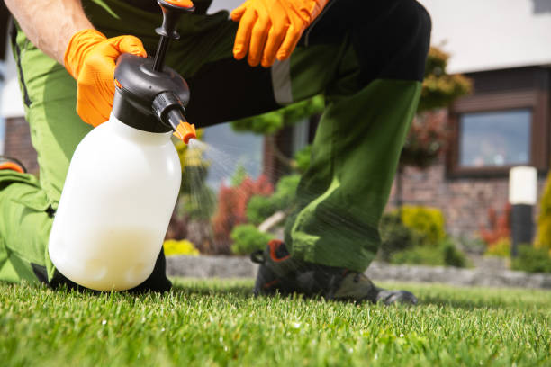 Best Wasp Removal Services  in Bel Air South, MD