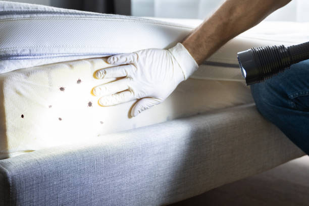 Best Exterminator Services  in Bel Air South, MD