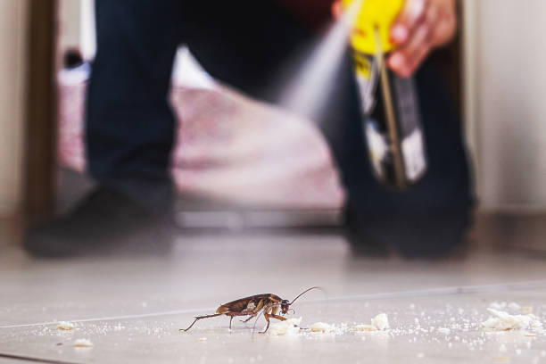 Best Pest Prevention Services  in Bel Air South, MD