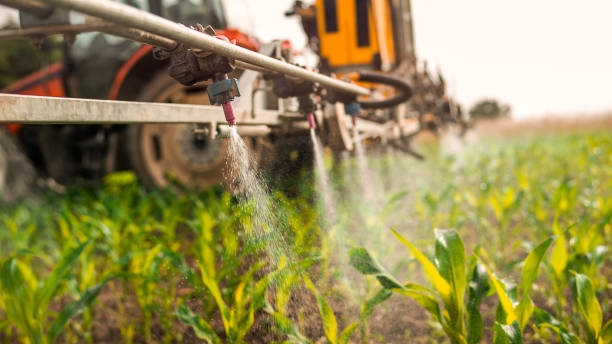 Best Ant Control Services  in Bel Air South, MD